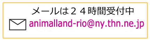 メールは２４時間受付中