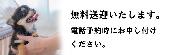 ペットサロン無料送迎します。