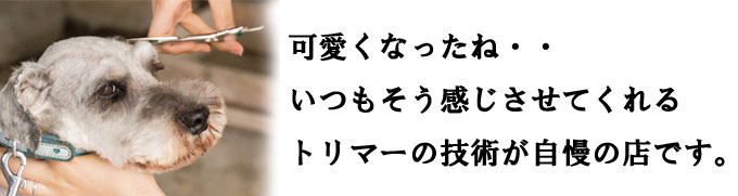 綺麗にトリミング
