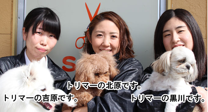 アニマルランドリオのトリマーです。